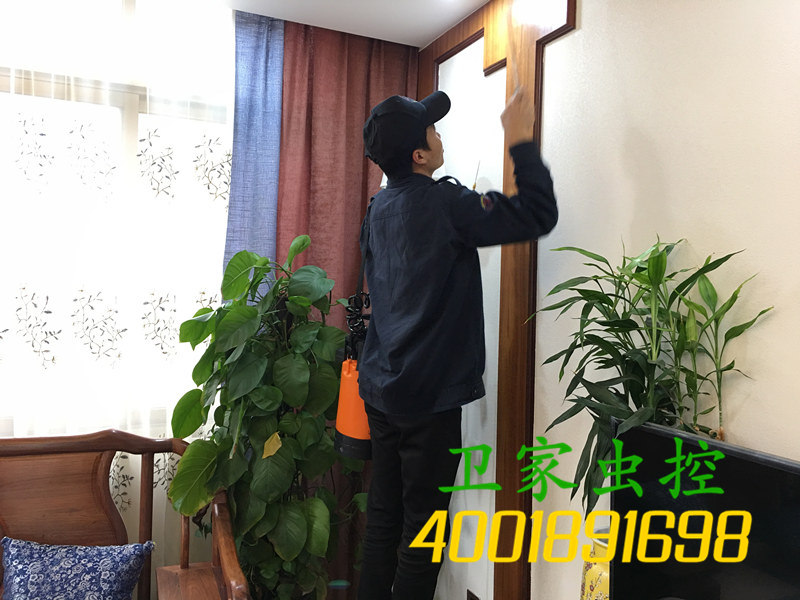 新建房屋预防白蚁措施